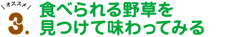 オススメ3.食べられる野草を見つけて味わってみる