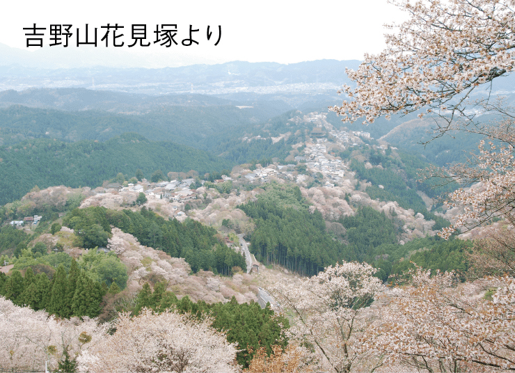 吉野山花見塚より