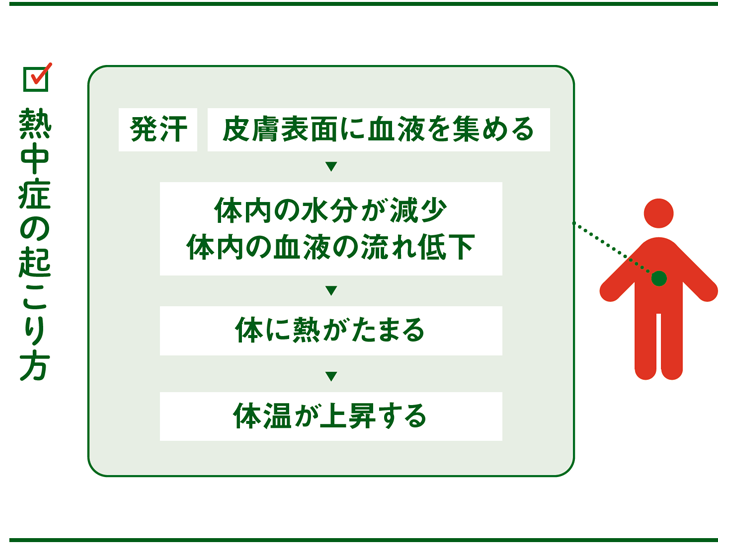 熱中症の起こり方