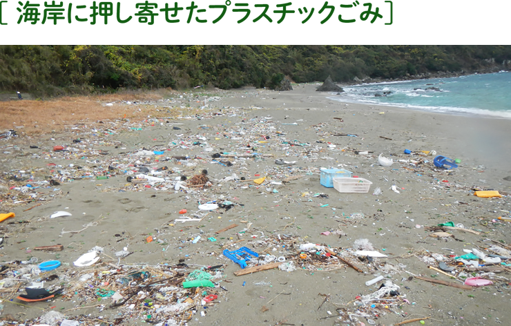海岸に押し寄せたプラスチックごみ