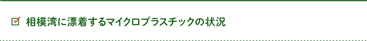 相模湾に漂着するマイクロプラスチックの状況