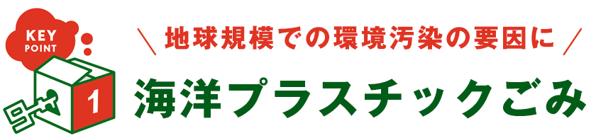 KEY POINT 1 - 地球規模での環境汚染の要因に 海洋プラスチックごみ