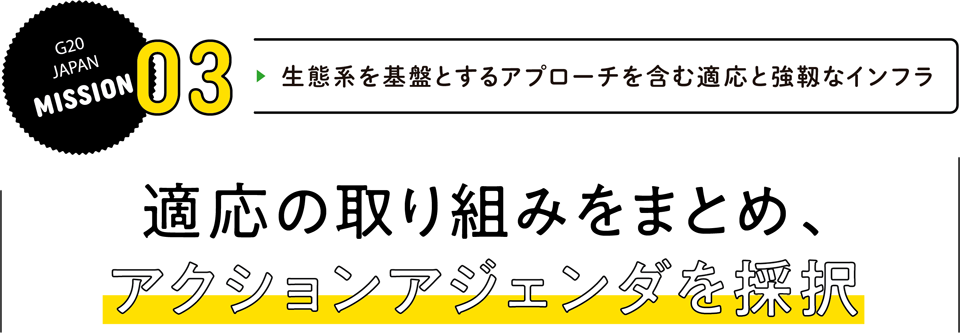 MISSION 03 生態系を基盤とするアプローチを含む適応と強靱なインフラ 適応の取り組みをまとめ、アクションアジェンダを採択