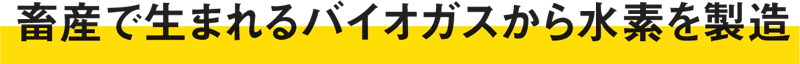 畜産で生まれるバイオガスから水素を製造