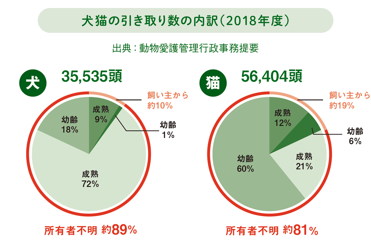 犬猫の引き取り数の内訳（2018年度）