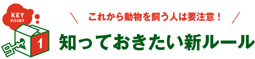 KEY POINT 1 - これから動物を飼う人は要注意！ 知っておきたい新ルール