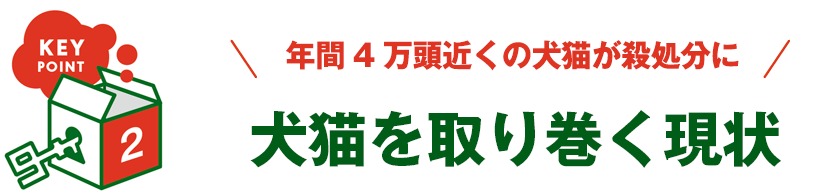 KEY POINT 2 - 年間4万頭近くの犬猫が殺処分に 犬猫を取り巻く現状