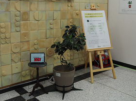 写真：公明党本部に設置された鉢植え