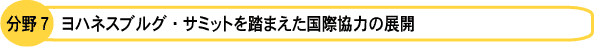 分野７　ヨハネスブルグ・サミットを踏まえた国際協力の展開