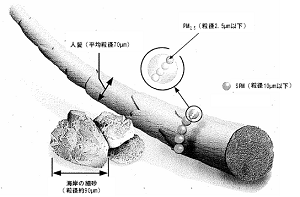 PMの大きさ（人髪や海岸細砂との比較）（概念図）