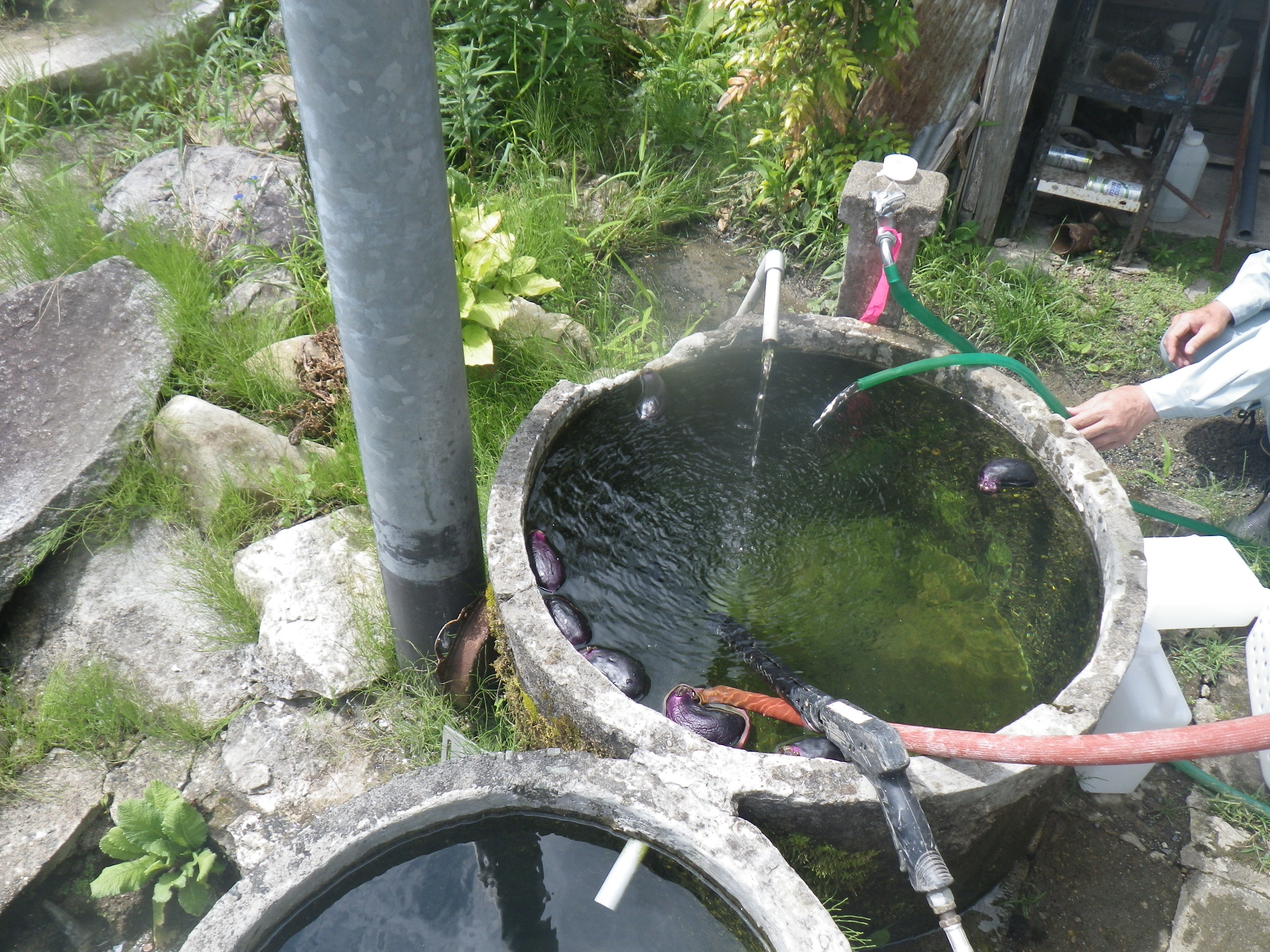 毎月の採水状況の例（田村市）