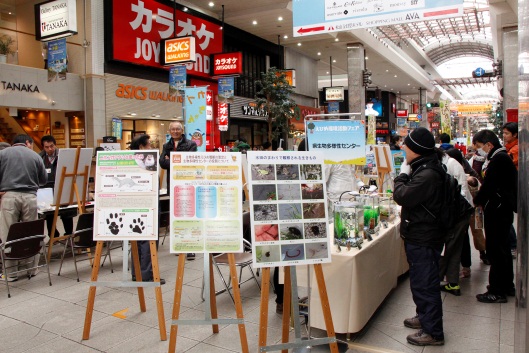 えひめ環境活動フェアでのブース出展