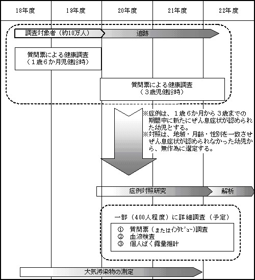 調査内容及びスケジュール