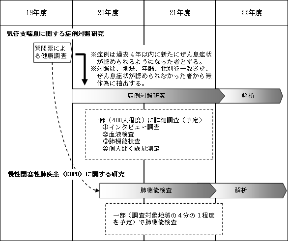 調査内容及びスケジュール