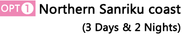 Northern Sanriku coast (3 Days & 2 Nights)
