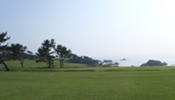 Tanesashi Coast