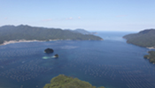 Yamada Bay