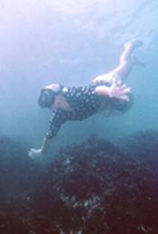 Kuji's Ama divers