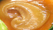 Stewed whole sharksfin