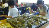 Steamed oysters
