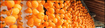 Dried persimmons