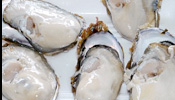 Yamada Oyster Festival