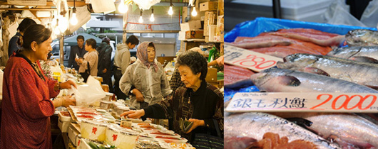 Sanriku Oki (offshore) -one of world's three richest fishery grounds-