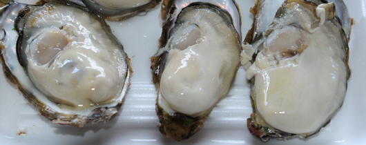 Yamada bay Oyster Festival