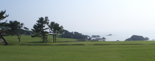 Tanesashi Beach