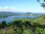 気仙沼大島・亀山の風景
