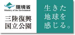環境省|三陸復興国立公園 三陸復興国立公園を楽しむ。