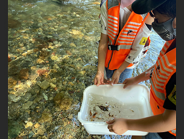 観察後の生き物を川に返すところ