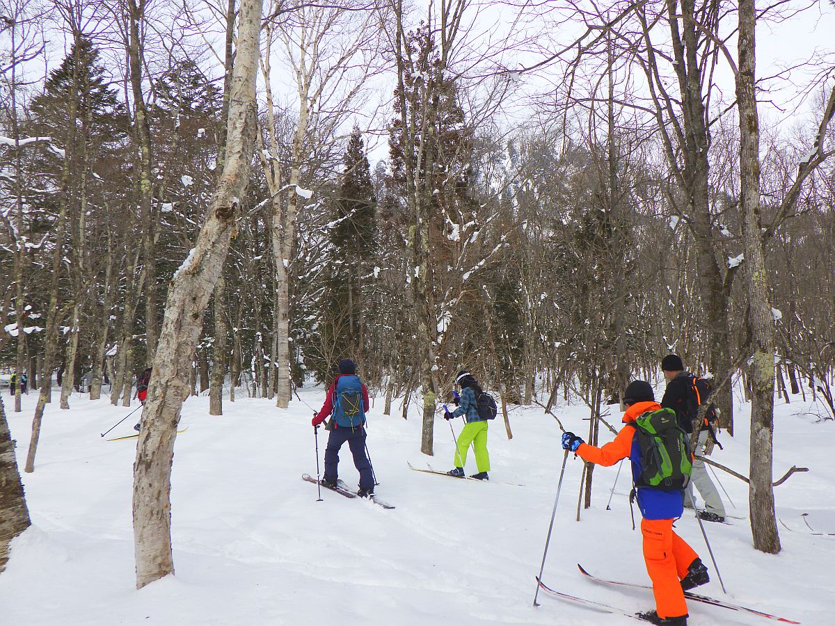⑤森の中をスキーで