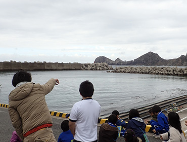 海岸から地層の断面を観察