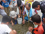 干潟で生き物調査を実施。潮干狩りやマテガイ採りも行いました。