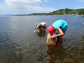 湖畔で生き物を採取中です。