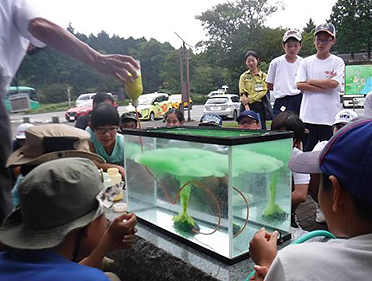 ①「水槽実験」水槽の約3/4の濃い食塩水（気圧が高い場所）とその上に真水（気圧が低い場所）を入れ、分離させることで大気を再現させて、チューブより比重の軽い液体と重い液体を流し込み、噴火の特長（緑：噴煙／黄色：火砕流）を学ぶ実験を行いました。