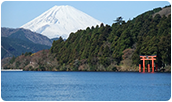 富士箱根伊豆国立公園