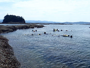 泳ぎながら海中の生きものを観察しました。