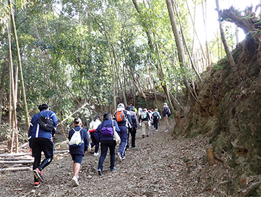 ガイドさん案内のもと、世界遺産の熊野古道・富田坂を歩きました。