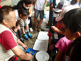 水辺の生きものは、水がきれいか汚れているかの環境によって種類が変わることや、巣を持つトビケラの生態、切ったところから分裂するプラナリアなど、水生生物と水辺環境ならではの特徴について学んだ子どもたちでした。