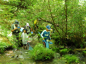 湧水が集まって流れる小川で、水生生物の採集。冷たい水と格闘しながら、カワゲラやヨコエビ、ヘビトンボの幼虫、そしてプラナリアなど7種を確認。いずれもキレイな水にすむ生き物でした。