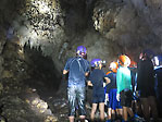 洞窟には、たくさんのコウモリが暮らしていました