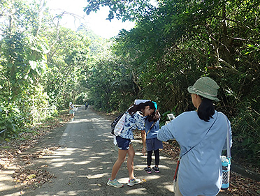 西表政府立公園