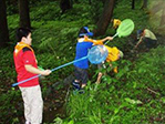 夢中になって小川の生き物を探しました。