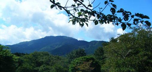 富士箱根伊豆国立公園（箱根ビジターセンター周辺園地）