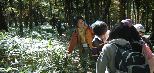 吉野熊野国立公園