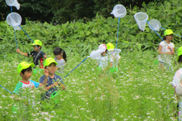 細越ホタルの里の会