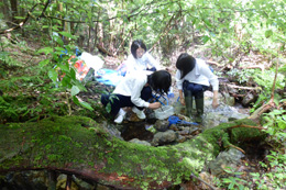 岐阜県山県市立高富中学校生物部(ふくぼっち班)