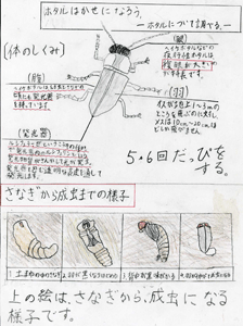 松山市立河野小学校イラスト